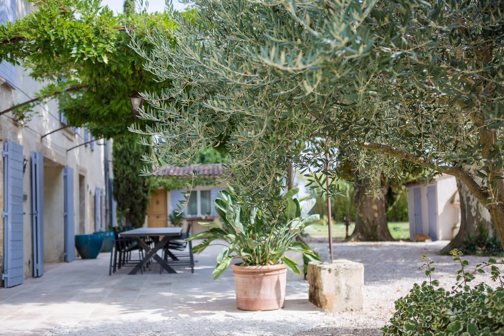 Sous Les Platanes B&B Châteaurenard Zewnętrze zdjęcie