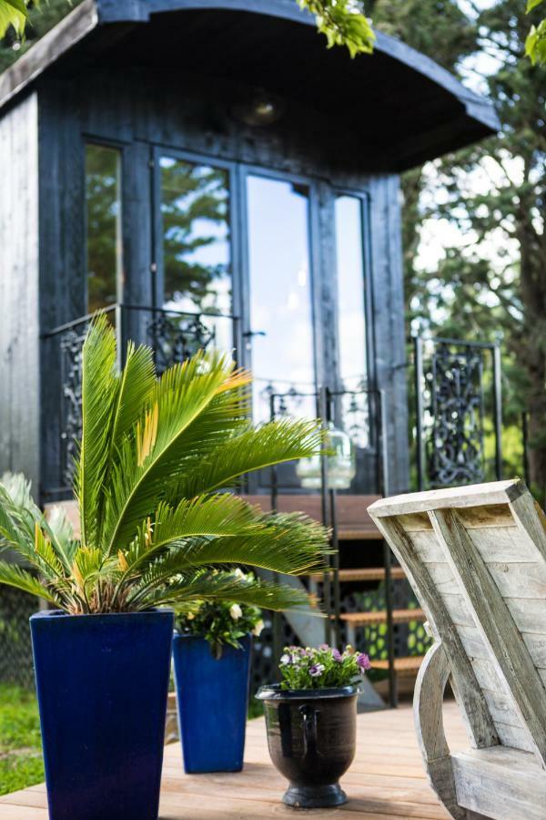 Sous Les Platanes B&B Châteaurenard Zewnętrze zdjęcie